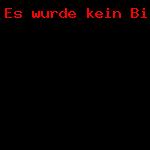 Abstrakt und Experimentell